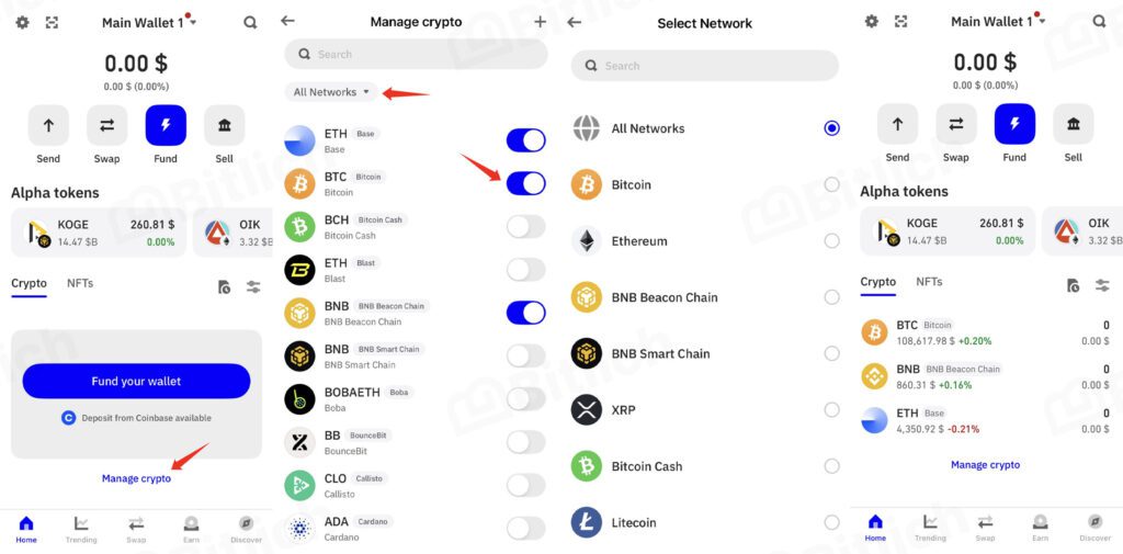 Multi-Chain Trust Wallet