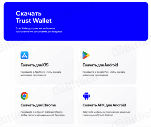 » Trust Wallet: полный обзор и пошаговая инструкция по использованию