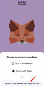 How to restore MetaMask with a Secret Recovery Phrase